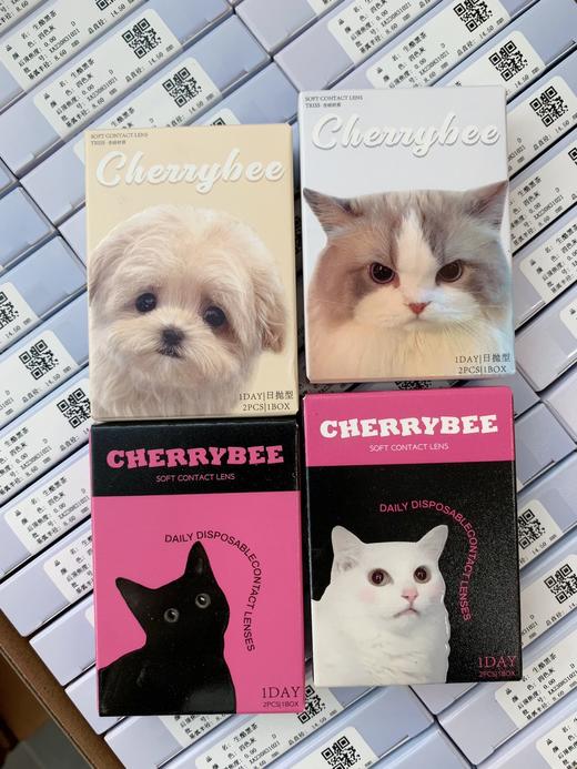Cherrybee·日抛合集   78一盒  198三盒 年中回馈！新品日抛·姜汁巧片萌混过关！国产0-800度<一盒10片> 商品图1