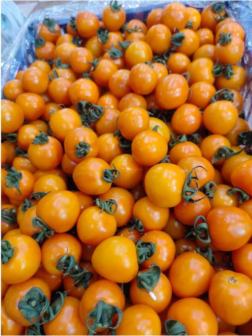 黄天霸柿子一斤 商品图0