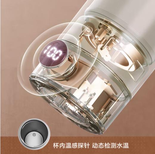 苏泊尔（SUPOR）便携式烧水杯家用旅行电热杯 316不锈钢 旅行冲奶办公室养生 SW-03T01E 摩登红 商品图3