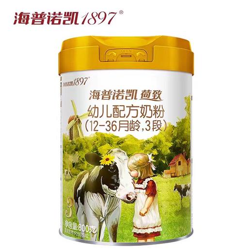 海普诺凯1897荷智配方奶粉900克 商品图2