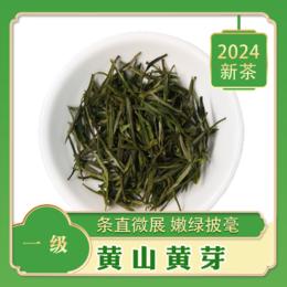 2024新茶 一级 【黄山黄芽】 条直微展 嫩绿披毫 浓厚回甘