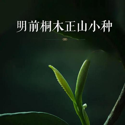 2025 年明前桐木正山小种 商品图0