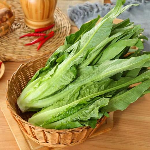 油麦菜（450克） 商品图0