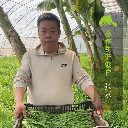 有机北京韭菜 | 合作生产* Organic Leek | Coproduction 商品图1