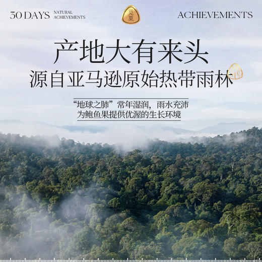 觅菓富硒补硒特大颗粒268g每日原味孕妇罐装巴西坚果硒元素免疫力 商品图2