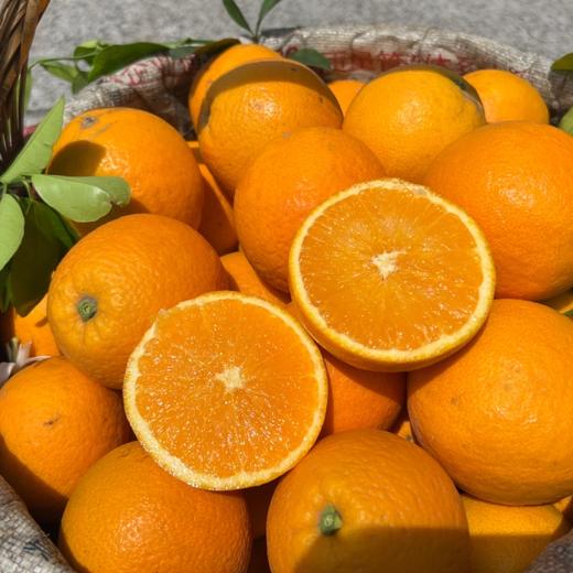 【稊归伦晚脐橙】 挂树时间最长的帝王橙 果香浓郁、汁多肉嫩、香甜可口 商品图4