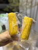 新玉米上市！内蒙有机黄糯玉米！粒粒饱满，甜糯软，老人孩子都喜欢！SGS601项农残检测✅3小时锁鲜 ，非转基因，可微波 ，可蒸煮 ，约180g/根 尽 商品缩略图2
