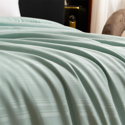 夏季雅致提花桑蚕丝被，轻盈透气，柔软舒适，让你美美哒入眠。 商品图7