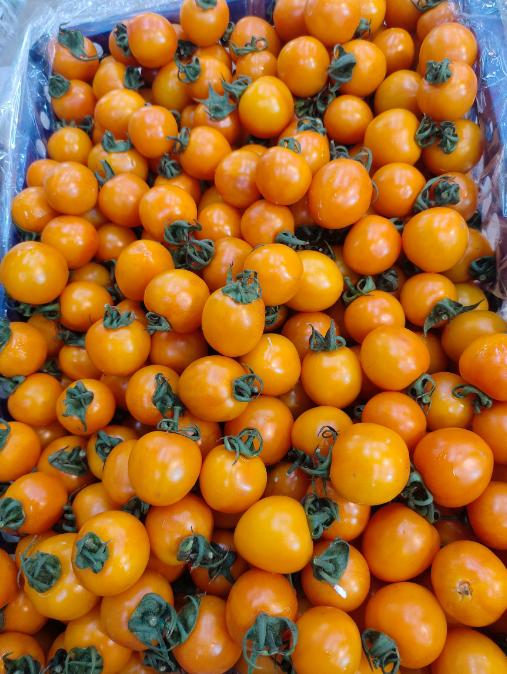 黄天霸柿子一斤 商品图1