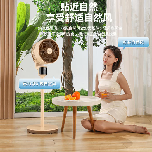 西佑八字摇头家用大风力可拆卸立式循环风扇香薰驱蚊SF2302机械款 /SF2302Y遥控款&4D智能语音款【工厂直发、一手货源、7天无理由退换货】 商品图4