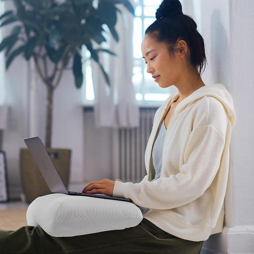 泰普尔 馨尚枕M 83300133 商品图4