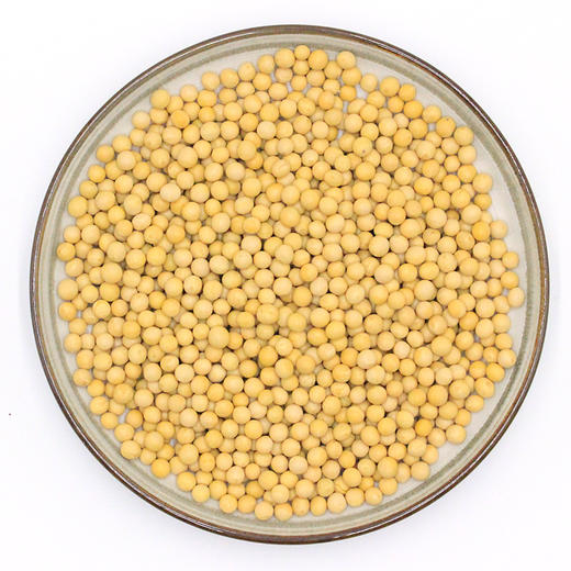 合作产品/有机黄豆 商品图2