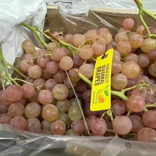 🔥爆品特好吃😋～荔枝香葡萄！[色]自带浓郁的玫瑰花瓣、水蜜桃和荔枝等香味，很香的葡萄🍇特别甜，汁多。最新到货 商品图11