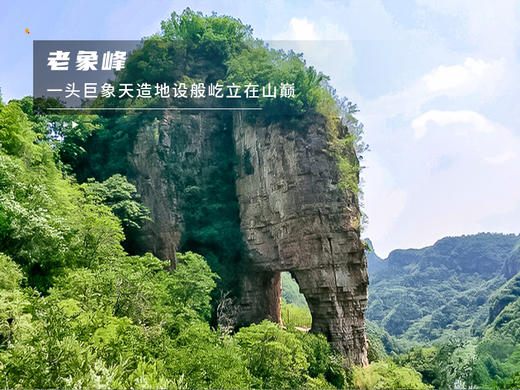 【平谷桃花A线-金海湖徒步1日】灼灼桃花 含笑迎春风 赏万亩桃花林平谷桃花A线人间最美四月天 商品图3