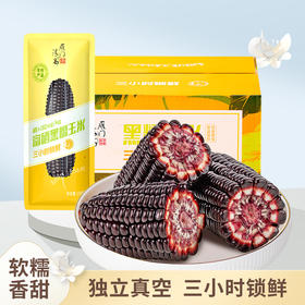 雁门清高富硒黑玉米220g*10根新鲜甜糯玉米真空装包