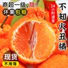 【不知火丑橘】四川不知火丑橘！新鲜5斤应当季大果！鲜甜嫩爽！一口爱！-SPXPDC0403 商品缩略图2