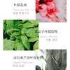 菲茨植萃控油乳霜40g（效期26/10） 商品缩略图1
