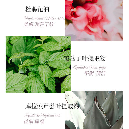 菲茨植萃控油乳霜40g（效期26/10） 商品图1