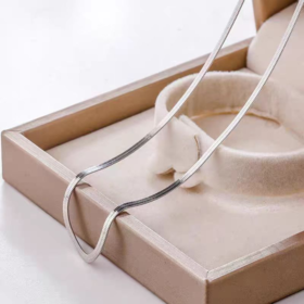 YF0013【YF饰品】2024新款高级设计感锁骨链扁蛇骨冷淡风简约百搭锁骨项链