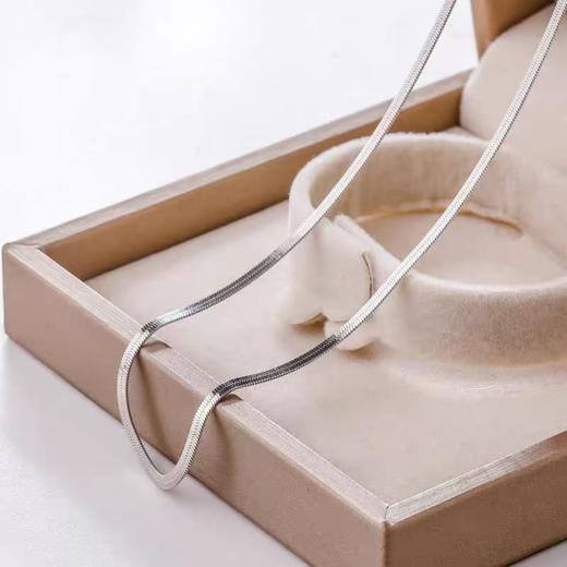 YF0013【YF饰品】2024新款高级设计感锁骨链扁蛇骨冷淡风简约百搭锁骨项链 商品图0