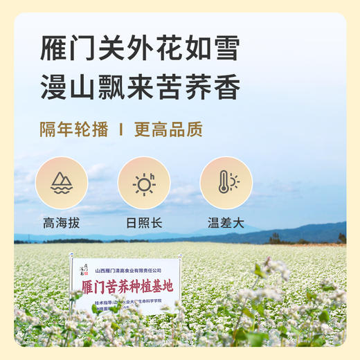 雁门清高 富硒黑苦荞茶礼盒480g节日礼品 商品图5