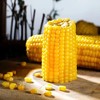 新玉米上市！内蒙有机黄糯玉米！粒粒饱满，甜糯软，老人孩子都喜欢！SGS601项农残检测✅3小时锁鲜 ，非转基因，可微波 ，可蒸煮 ，约180g/根 尽 商品缩略图5