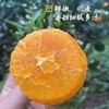 【稊归伦晚脐橙】 挂树时间最长的帝王橙 果香浓郁、汁多肉嫩、香甜可口 商品缩略图3