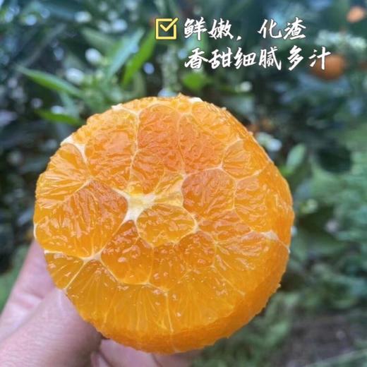 【稊归伦晚脐橙】 挂树时间最长的帝王橙 果香浓郁、汁多肉嫩、香甜可口 商品图3