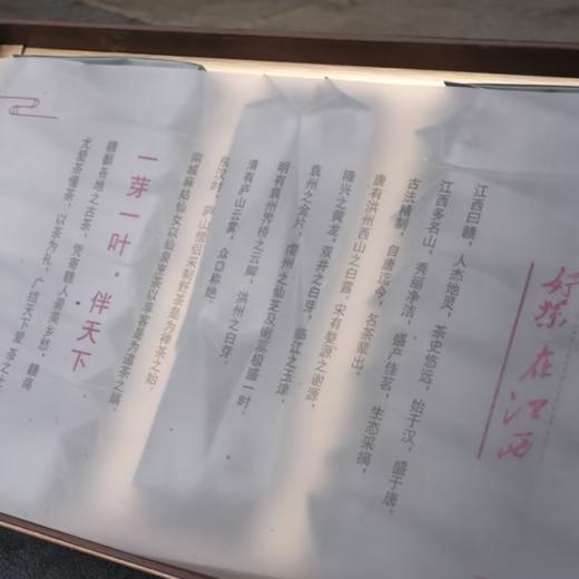 【好茶在江西系列】 商品图5