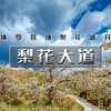 周末1天【梨花大道78元】镇罗营万亩梨花-迎来最佳赏花期-7公里休闲徒步 商品缩略图2