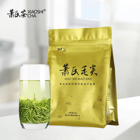 2024新茶 萧氏毛尖 清香型高山云雾茶250g XSC