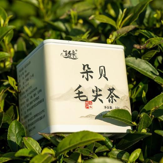 安顺普定【朵贝毛尖茶】多规格可选 全国包邮（除新疆西藏青海）当季新茶 茶香浓郁 商品图4