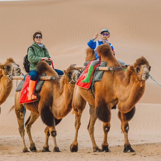 【暑假】西夏安宁，贺兰山下的半部华夏史 5天4晚 商品图10