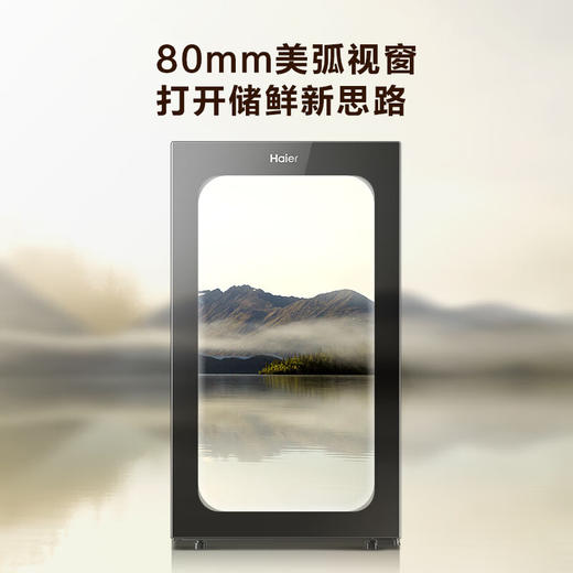 海尔（Haier）92升家用客厅办公室冷藏柜暖藏冰吧 茶叶饮料水果蔬菜保鲜柜囤货小型LC-92LHESD1 商品图4