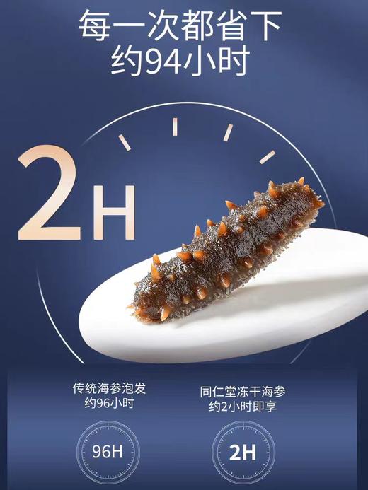 【超市】总统牌冻干海参26g（16只） 商品图2