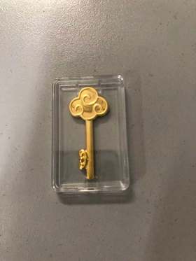 通版金钥匙 足金999 泰康定制礼盒装（贵金属下单后不退不换）参考实时金价多退少补