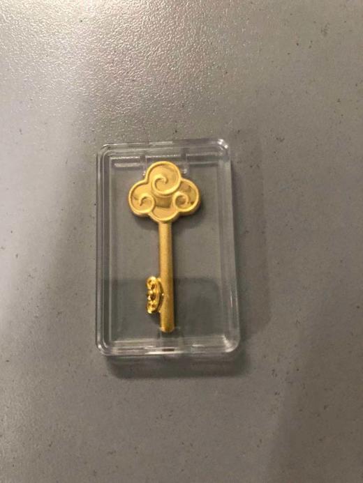 通版金钥匙 足金999 泰康定制礼盒装（贵金属下单后不退不换）参考实时金价多退少补 商品图0