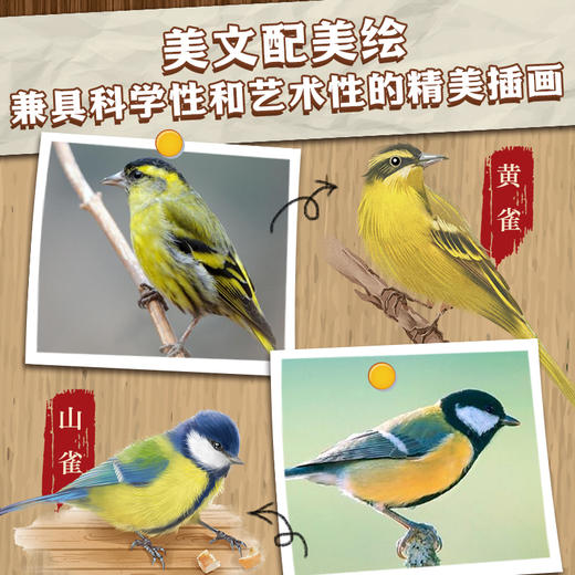 森林报·科普彩绘注音版：全4册 商品图4