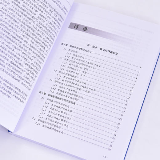 数字经济3.0 智联万物 智链百业 探索数字经济3.0 领略数字技术驱动的未来经济 商品图4