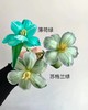 【琳琅】可利美专业鲜花吸色剂（只能快递发出） 商品缩略图2