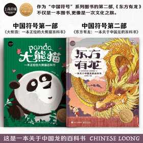 中国符号系列：东方有龙+大熊猫