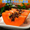 【爆甜冰糖木瓜】清甜爽口！皮薄肉厚！爆甜多汁！新鲜采摘！软糯香甜！-SPXPDC0404 商品缩略图3