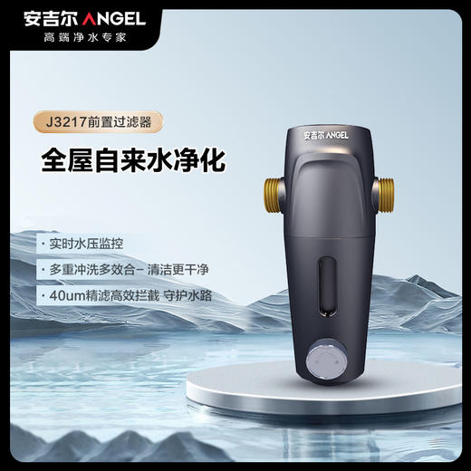 安吉尔J3217-GWG-4000前置过滤器（钢网）全屋净水 商品图0