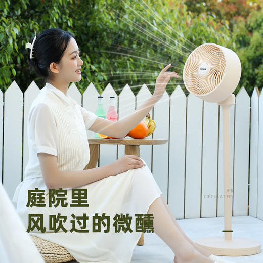 西佑空气循环扇落地扇可拆卸立式风扇香薰驱蚊F6机械款 F6W遥控款【工厂直发、一手货源】 商品图1