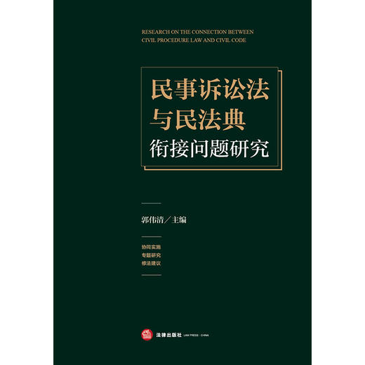 民事诉讼法与民法典衔接问题研究 郭伟清主编 法律出版社 商品图1