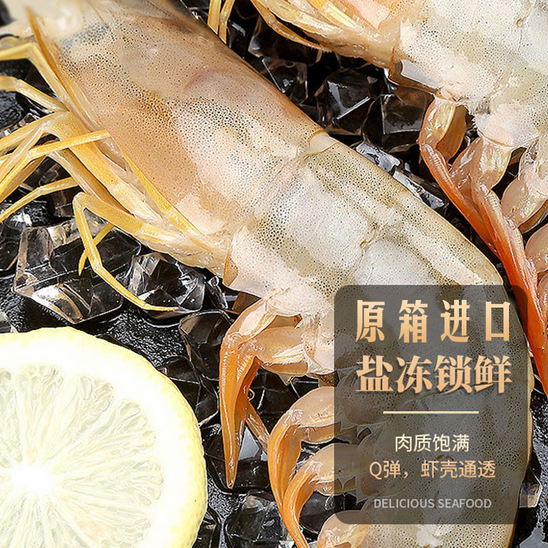 【厄瓜多尔白虾】鲜活捕捞 肉质饱满 q弹紧实 1.65kg