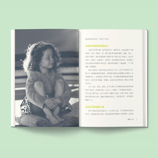 《平静而专注 像青蛙一样坐定》《像青蛙一样坐定游戏书》（共2册） 商品图5