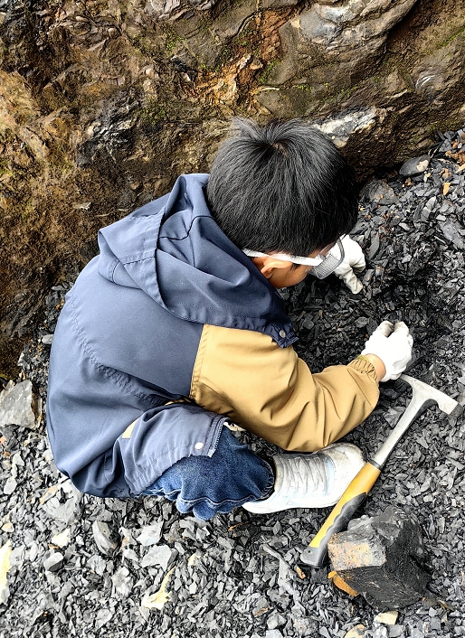 【建德】化石小猎人（寻宝）