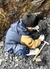 【建德】化石小猎人（寻宝） 商品缩略图0