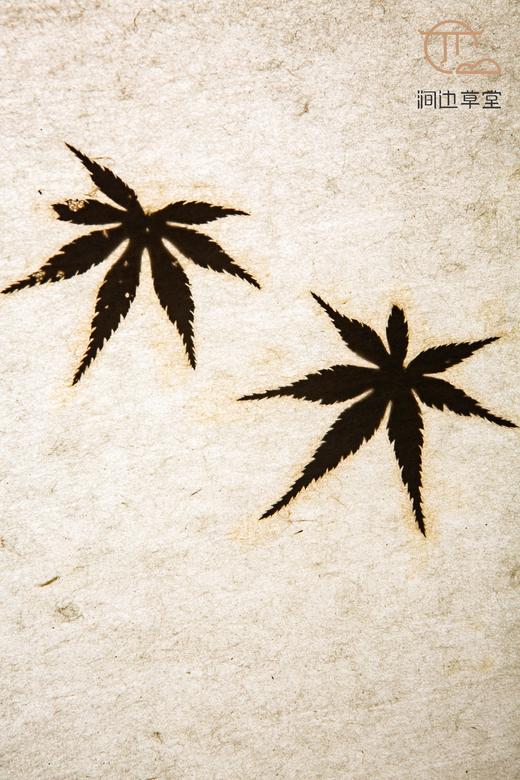 80年代日本制两层皮纸夹枫叶石州和纸 商品图14